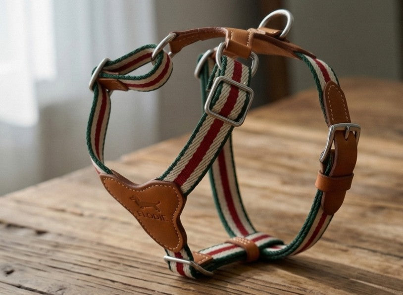 ÉLODIE Signature Harness