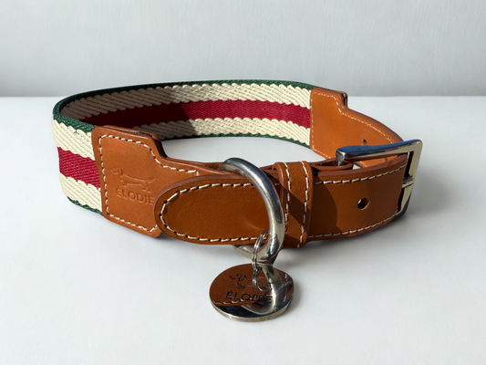 ÉLODIE Signature Collar