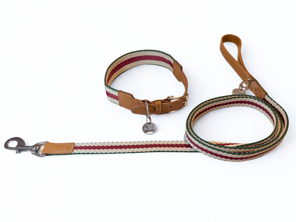 Signature Set - Collar & Lead