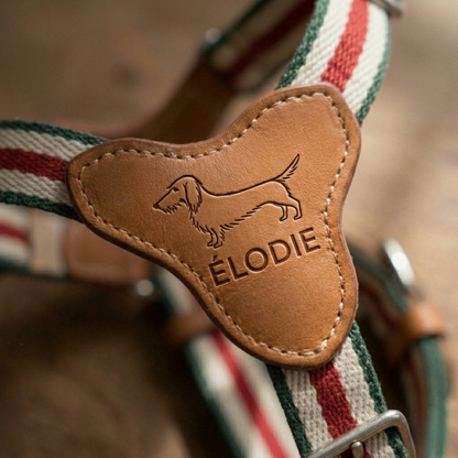 ÉLODIE Signature Harness